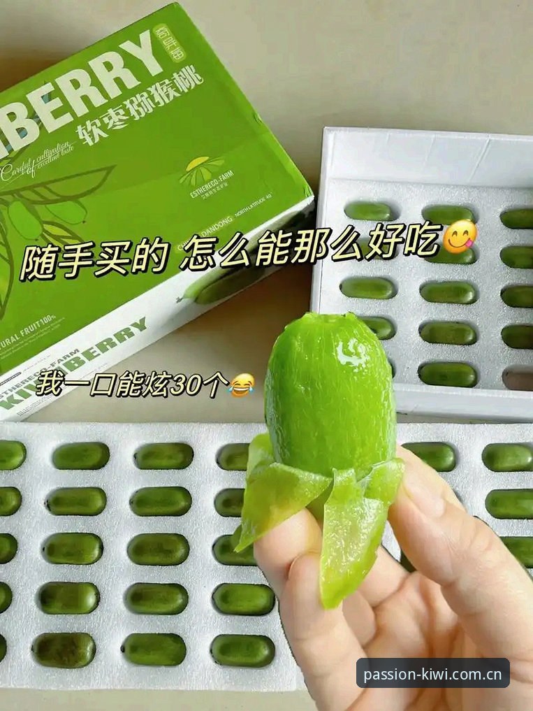 奇异果体育平台功能详解与APP下载指南