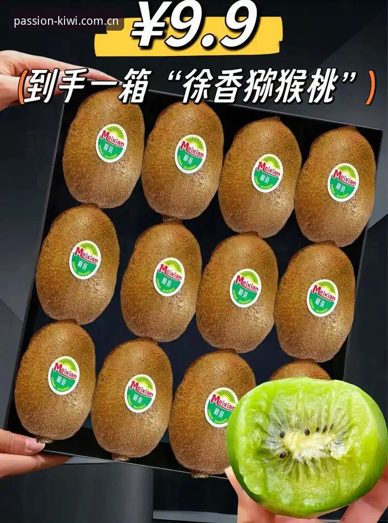 奇异果体育平台功能详解与APP下载指南