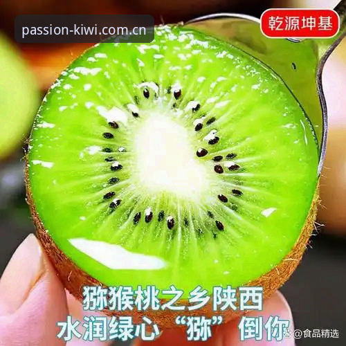 奇异果体育使用教程2026最新版本 奇异果体育使用教程2026最新版本上线,老用户亲测这些功能太香了!